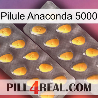 Anaconda 5000 Pill cialis2